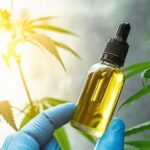 How to Choose the Best CBD Oil for Pain Relief