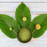 kratom and anxiety
