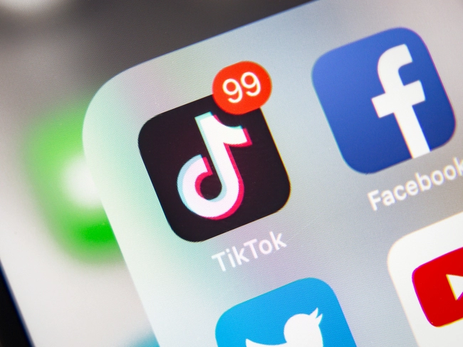 Tiktok Video Downloader
